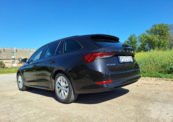 Skoda Octavia cena 85000 przebieg: 91200, rok produkcji 2020 z Kołaczyce małe 29